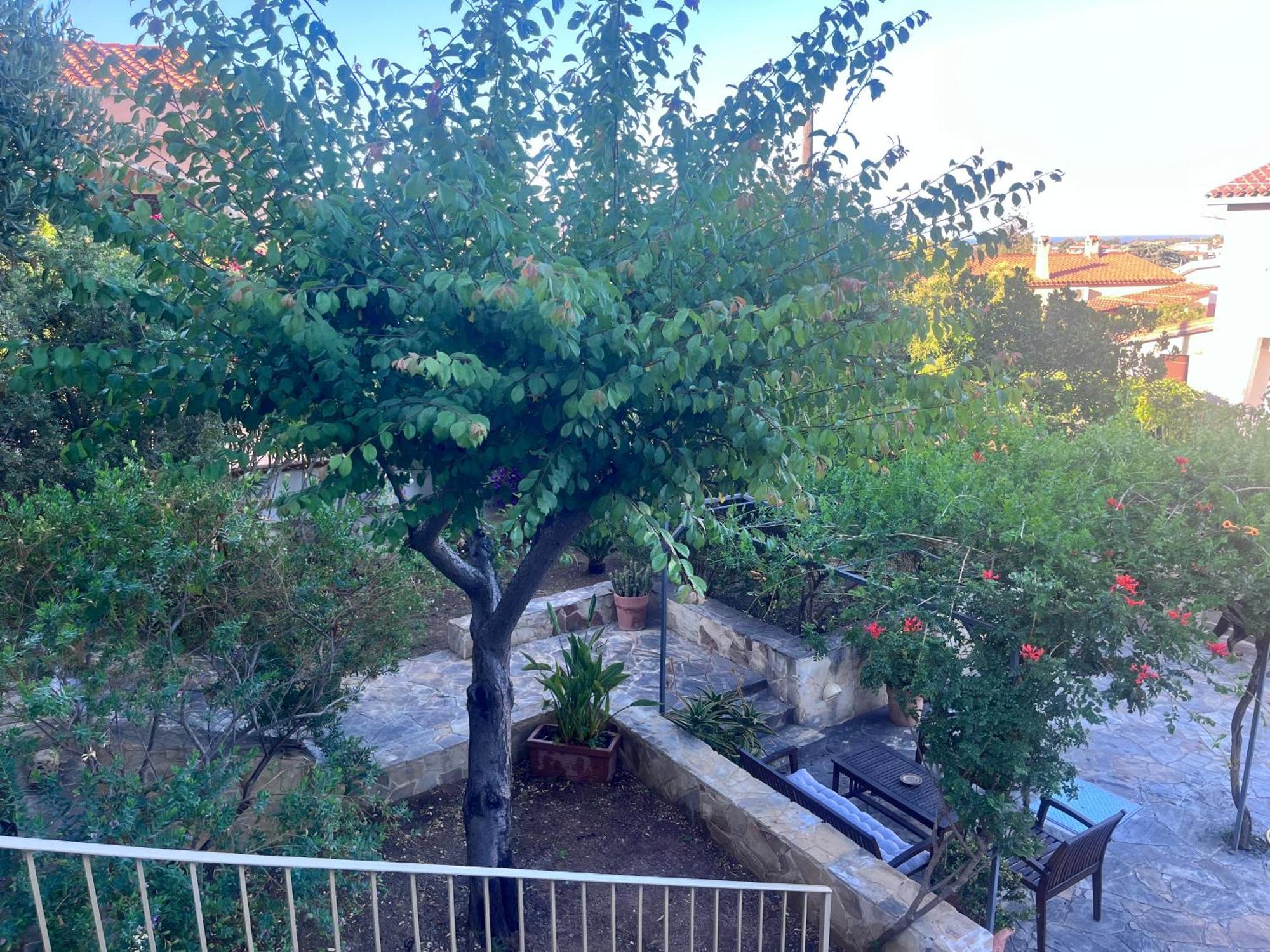 Villa Fatta Di Sogni Pula Exterior foto
